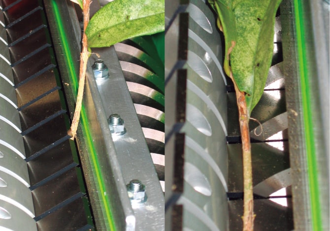 左）直立して落下する茎は、横刃と固定刃の組合わせで切断。右）横に寝て落下した茎は、横刃で押さえ込み、丸刃にて25mm幅に切断。