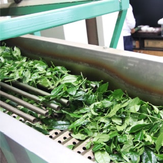 碾茶製造ライン内の様子02